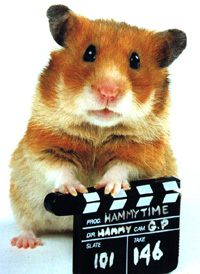 Image Hammy Hamster